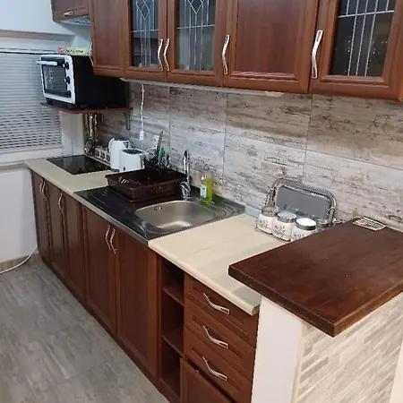 Dzavric Apartment