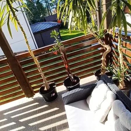 Dzavric Apartment
