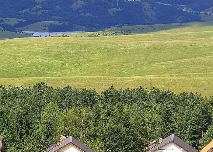 Dzavric * Златибор